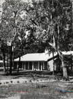 Gracious oaks shade homes in many subdivisions, circa 1960