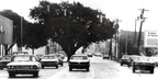 The Oak Tree on Texas Avenue, around the 1970s