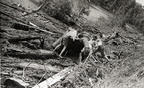 After a Hurricane, 1941