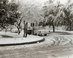 The 1960 Snow