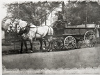 Dray-wagon, circa 1919