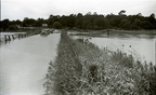 The June 1941 Flood. 