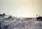 Rice Threshing Crew in 1900 Baytown