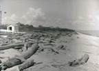 The June 1941 Flood